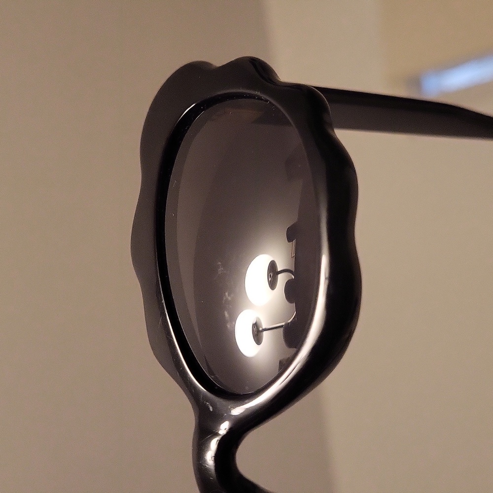 Fashion Brand Company Black Hole Sunglasses with Case - Picture 5 of 8